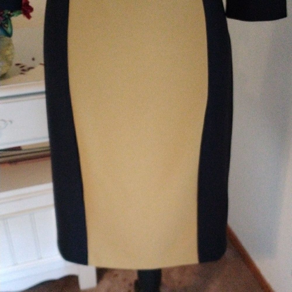 Connected Apparel Knit Color Block Dress - Picture 3 of 9